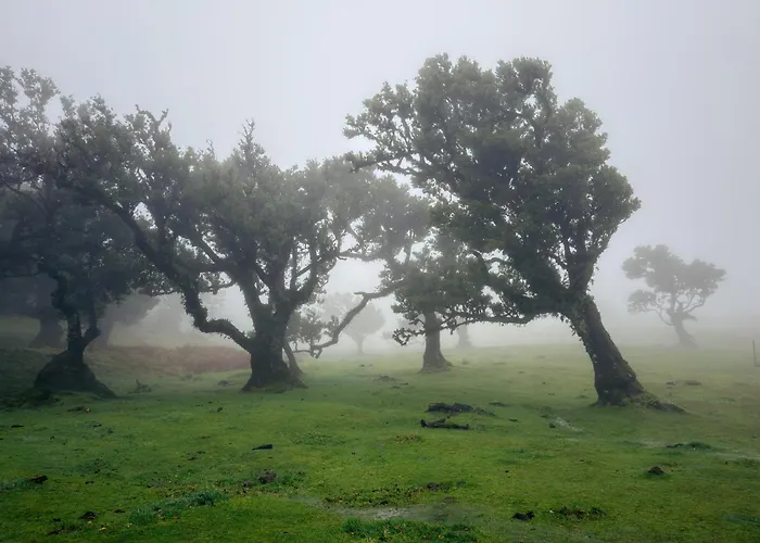 Ferienhaus Vivenda Silva
