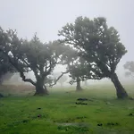 Σπίτι διακοπών Vivenda Silva