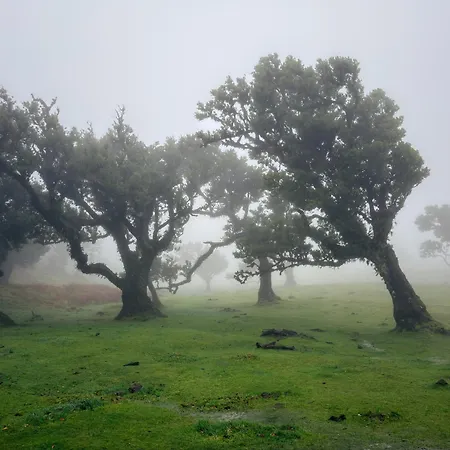 Nyaraló Vivenda Silva